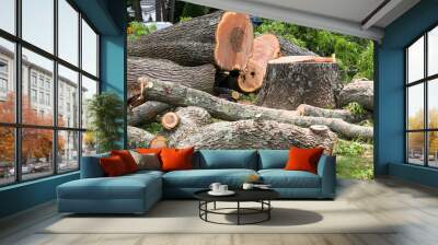 Tree stump and large portions of stump in a pile on a lawn Wall mural