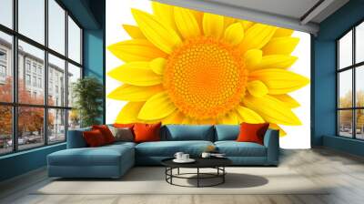 Flower isolated, yellow summer wild flower v Wall mural