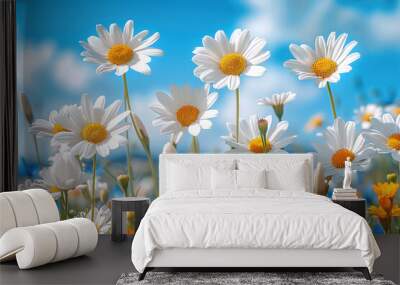 Flowers background, white spring daisy flowers Wall mural