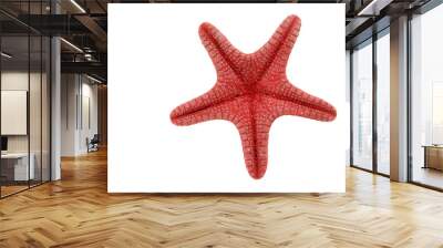 Red starfish backside  isolated on transparency photo png file  Wall mural