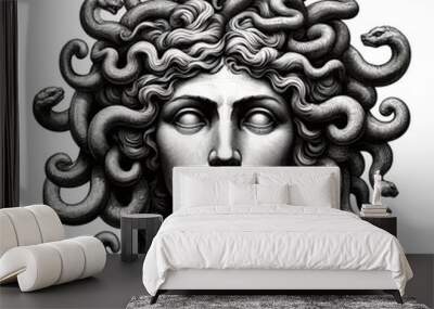 The Classic Depiction Of The Head Of The Gorgon Medusa From Ancient Mythology. A Gloomy Awesome Look Horror Fright. Wall mural