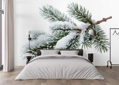 Pine branches covered with snow on transparent background Wall mural