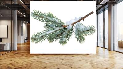 Pine branches covered with snow on transparent background Wall mural