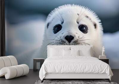 A close-up portrait of a white baby seal with black eyes and a wet nose, looking directly at the camera. Wall mural