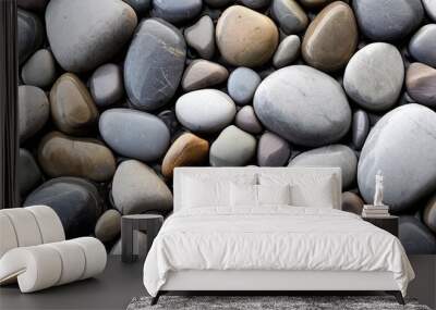 A close-up shot of a variety of smooth, gray, brown, and white river rocks. The rocks are wet from recent rainfall, giving the image a natural, tranquil feel. Wall mural