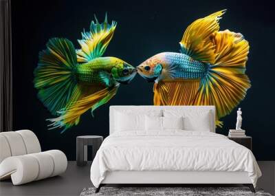 Two Colorful Betta Fish Facing Each Other with Fins Spread Wall mural