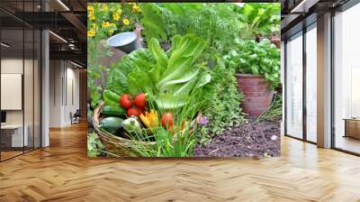  vegetables garden with fresh vegetables in basket and aromatic plants Wall mural