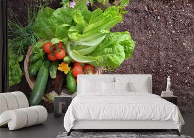 basket filled with colorful fresh vegetables in the garden Wall mural