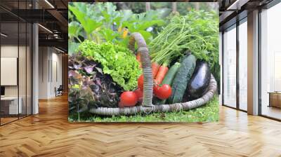 basket full of fresh vegetables in front of a vegatable garden Wall mural