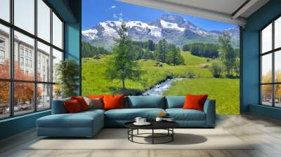 beautiful scenic ladscape in alpine mountain snowy and greenery meadow with a little river Wall mural