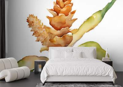 Watercolor and painting ginger root and flower plant Wall mural