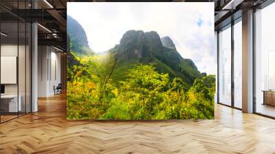 Beautiful Landscape of rocky Limestone Mountain and green forest with blu sky at Chiang doa national park in Chiangmai, Thailand Wall mural