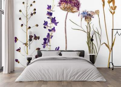 Set of wild flowers pressed Wall mural