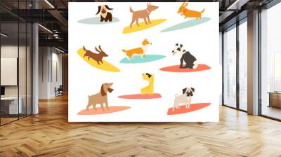 Dog surfers set, vector cartoon illustrations. Dogs breeds on surfboard. Funny Cute dogs. Isolated on white Wall mural