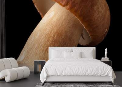 cep on black Wall mural