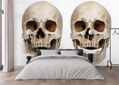 skull-open mouth Wall mural