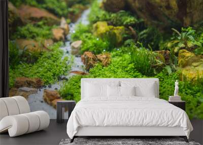  aquarium tank with a variety of aquatic plants. Wall mural