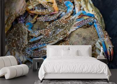 close up shot of blue swimming crabs. Wall mural