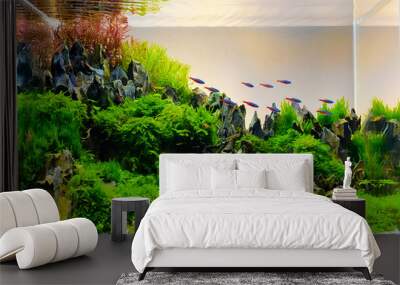 Image of landscape nature style aquarium tank. Wall mural