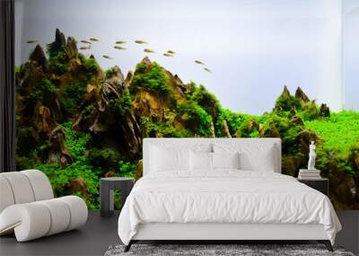 Image of landscape nature style aquarium tank. Wall mural