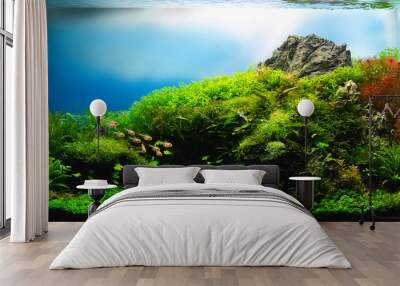 nature style aquarium tank with aquatic plants Wall mural