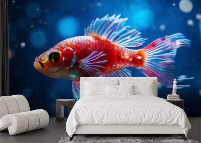 Bright blue betta fish with red accents on fins and tail, swimming in water. The background of the blurred Wall mural