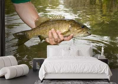 Fisherman displaying a freshly caught bass Wall mural