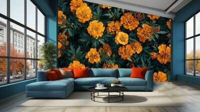 A close up view of orange marigold flowers blooming in a garden Wall mural