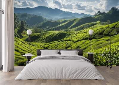 Green hillside is decorated with lush green tea fields. Calm landscape. A lush green hillside under a blue sky Wall mural