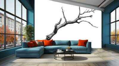 PNG Bare tree branch on a white background Wall mural