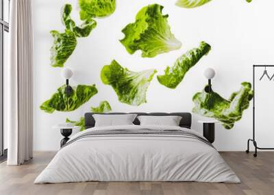 PNG Lettuce leaves on white background Wall mural