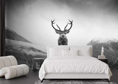 Monarch of the glen Wall mural