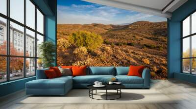 Karoo semi desert arid landscape with sky and clouds in South Africa Wall mural