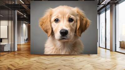 Cute golden retriever puppy with fluffy fur and soulful eyes Wall mural