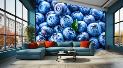 Fresh raw organic blueberries background. Food background, backdrop, wallpaper, summer harvest, blueberries, organic, fresh Wall mural