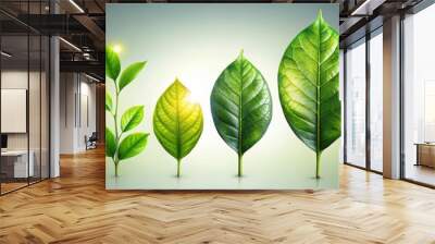 Lush green leaf evolving into a mature plant in stages of growth Wall mural