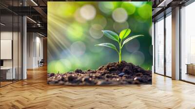 Seedling representing return on investment and saving money for profit , seedling, investment, profit, saving, money Wall mural