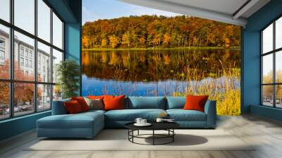 Autumn scenery with trees reflected in lake Wall mural