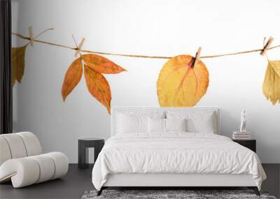 Autumn floral diy garland from dry leaves cut out on transparent background Wall mural