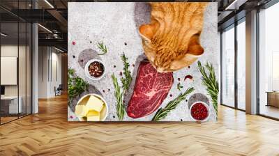 Big ginger cat tastes fresh beef steak. Natural healthy pet food concept. Trendy shadows Wall mural