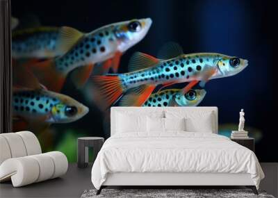 A stunning display of closeup Guppies Wall mural