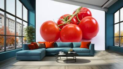 Tomato isolated food ripe red. nature Wall mural