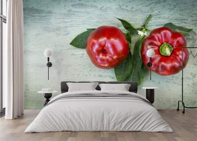 Fresh red peppers  Wall mural