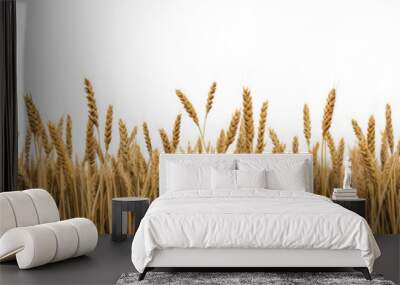 A wheat field border isolated on transparent background - Generative AI Wall mural