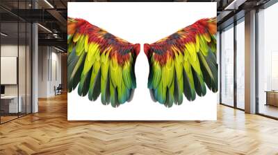 Parrot wings isolated on transparent background - Generative AI Wall mural