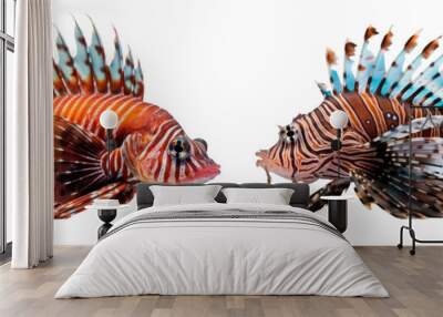 Set of lionfish isolated on transparent background Wall mural