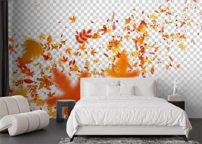 vector realistic isolated red, yellow and orange maple and oak falling leaves confetti for decoratio Wall mural