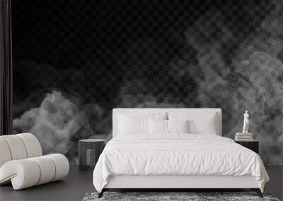 Vector realistic isolated Smoke effect for decoration and covering on the transparent background. Wall mural