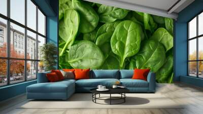 Fresh Spinach Leaves in a Close-Up View, Highlighting the Crisp Texture and Rich Green Color, Ideal for Salads or Healthy Cooking Wall mural