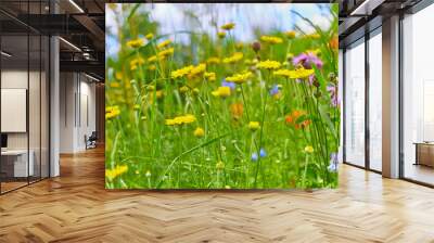 Beautiful flower meadow on the side of the path Wall mural